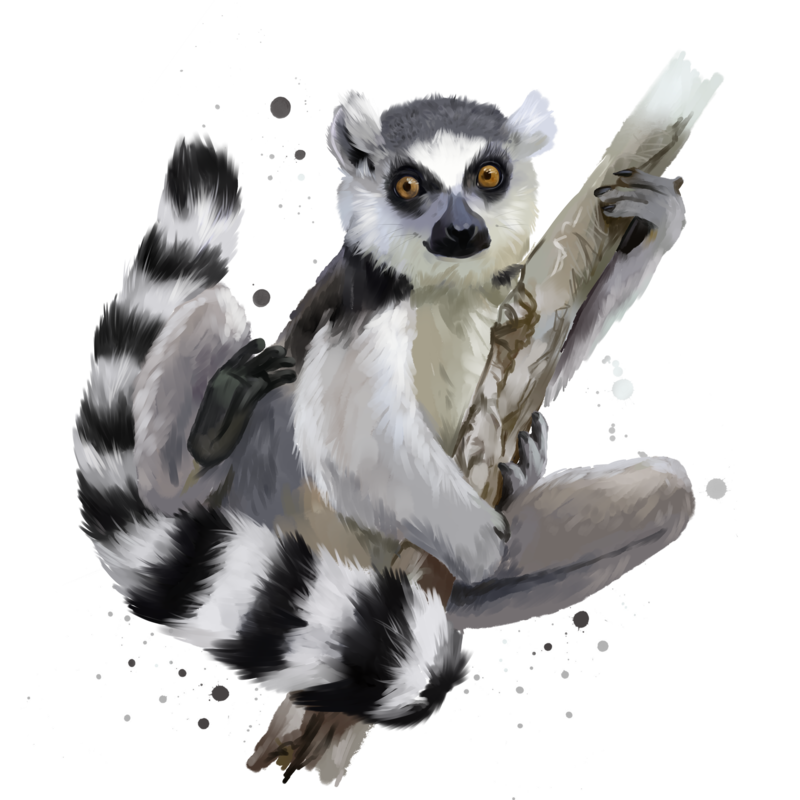 The Lemur Preservation League